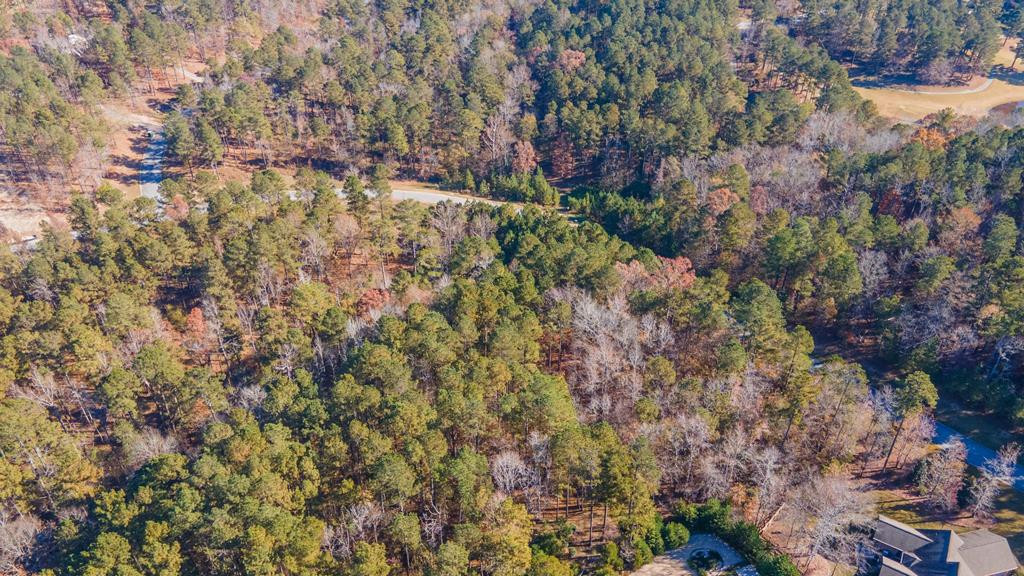 Lot K18 Colin Reed's Road North Augusta, SC 29860 - Photo 5 of 14