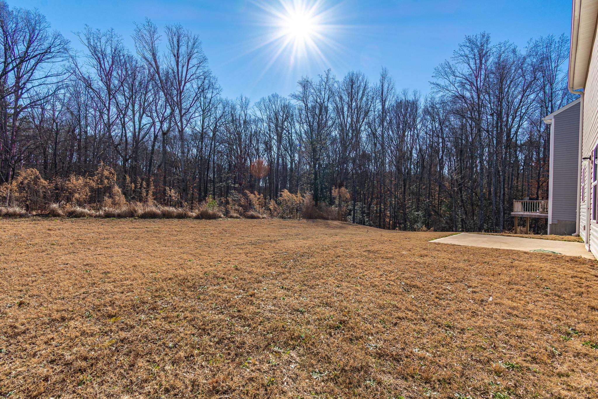 200 Ralston Road Greer, SC 29651 - Photo 23 of 29