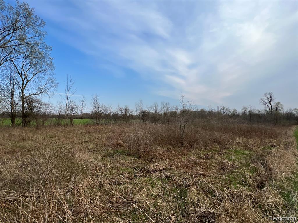 28 28 Mile Road New Haven, MI 48048 - Photo 19 of 20