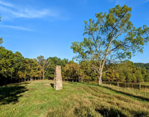 a view of a yard with an trees