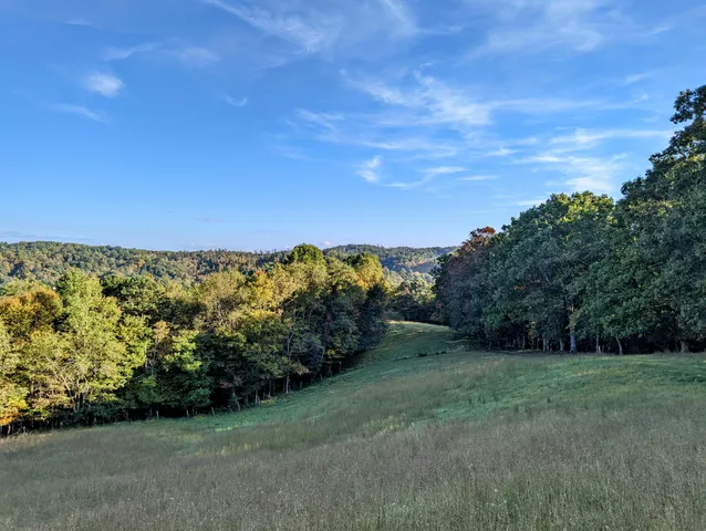 a view of a field with an trees