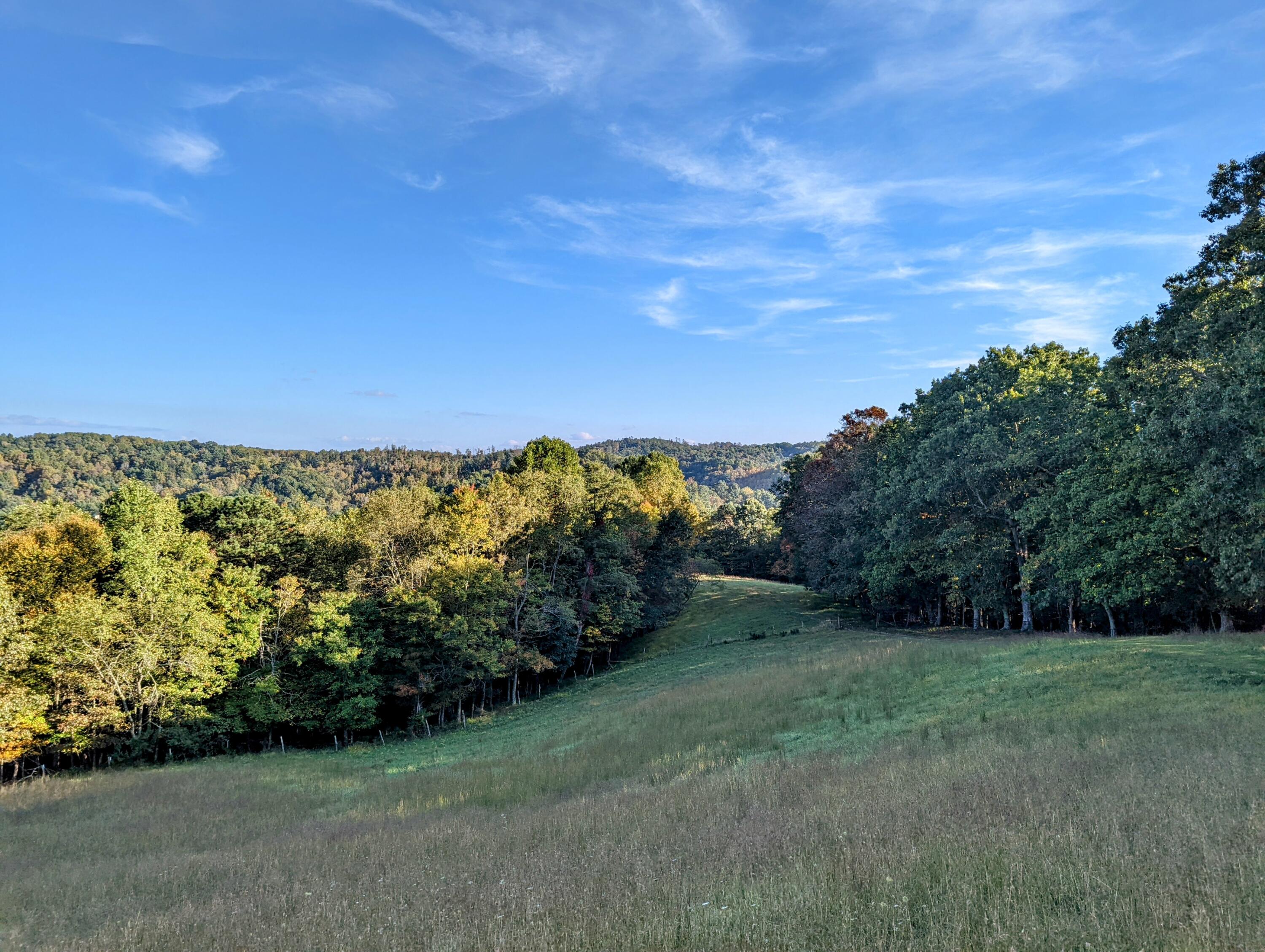 0 Laurel Creek Road Northeast Pilot, VA 24138 - Photo 13 of 53 a view of a field with an trees