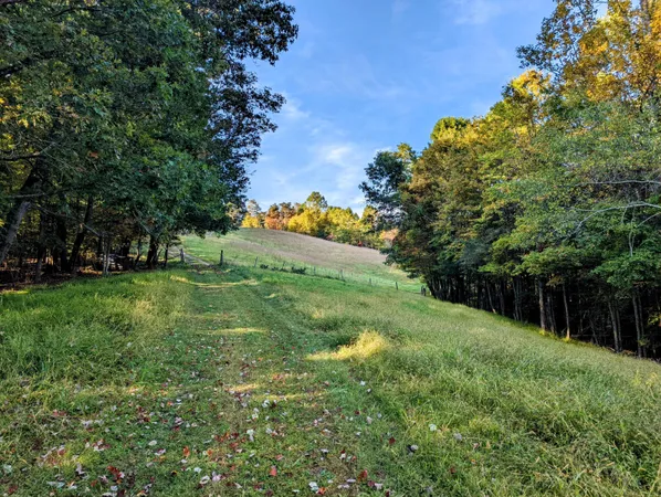 a view of grassy field with trees