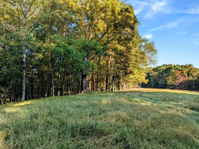 a view of grassy field with trees