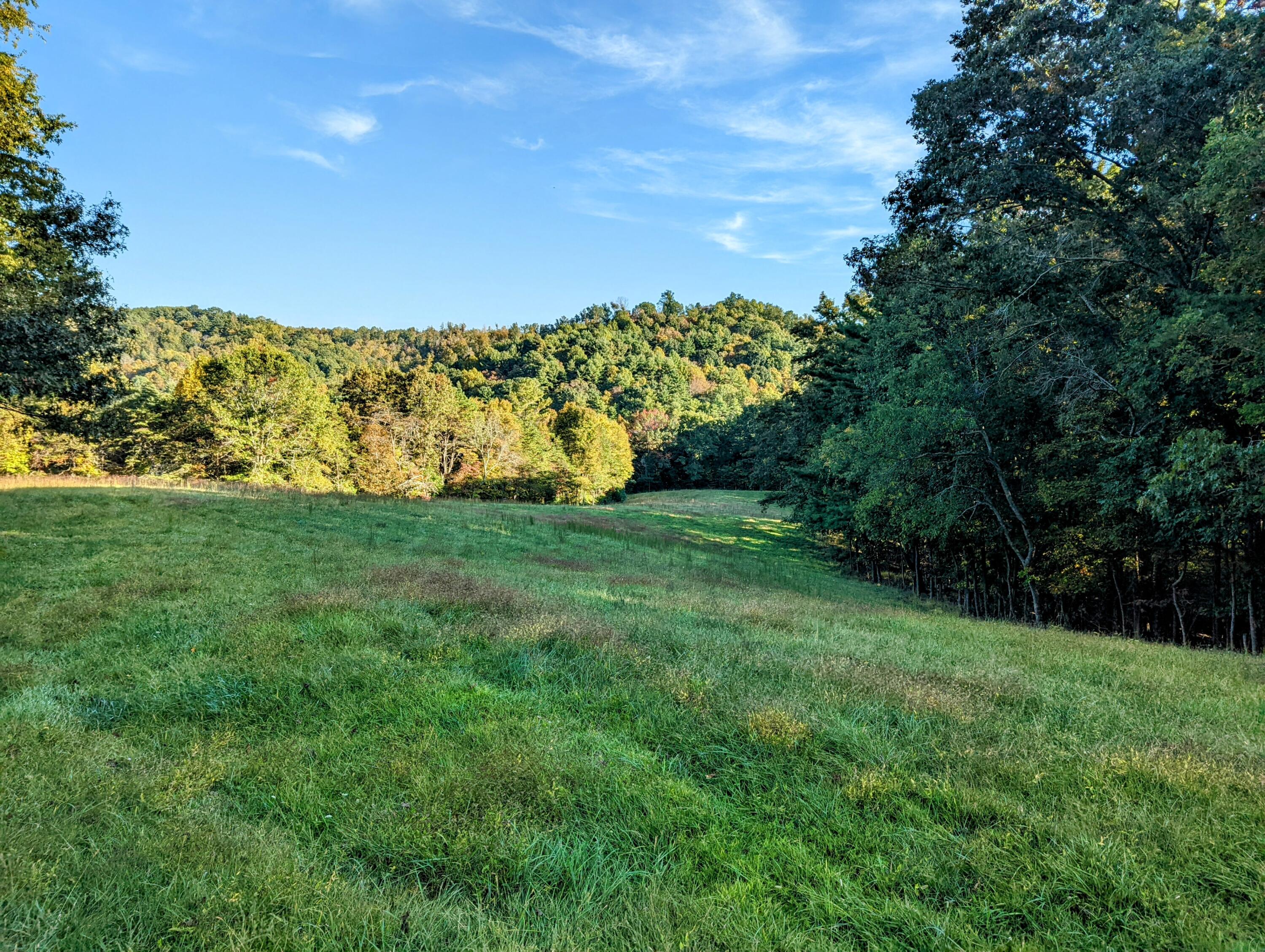 0 Laurel Creek Road Northeast Pilot, VA 24138 - Photo 18 of 53 a view of a field with an trees