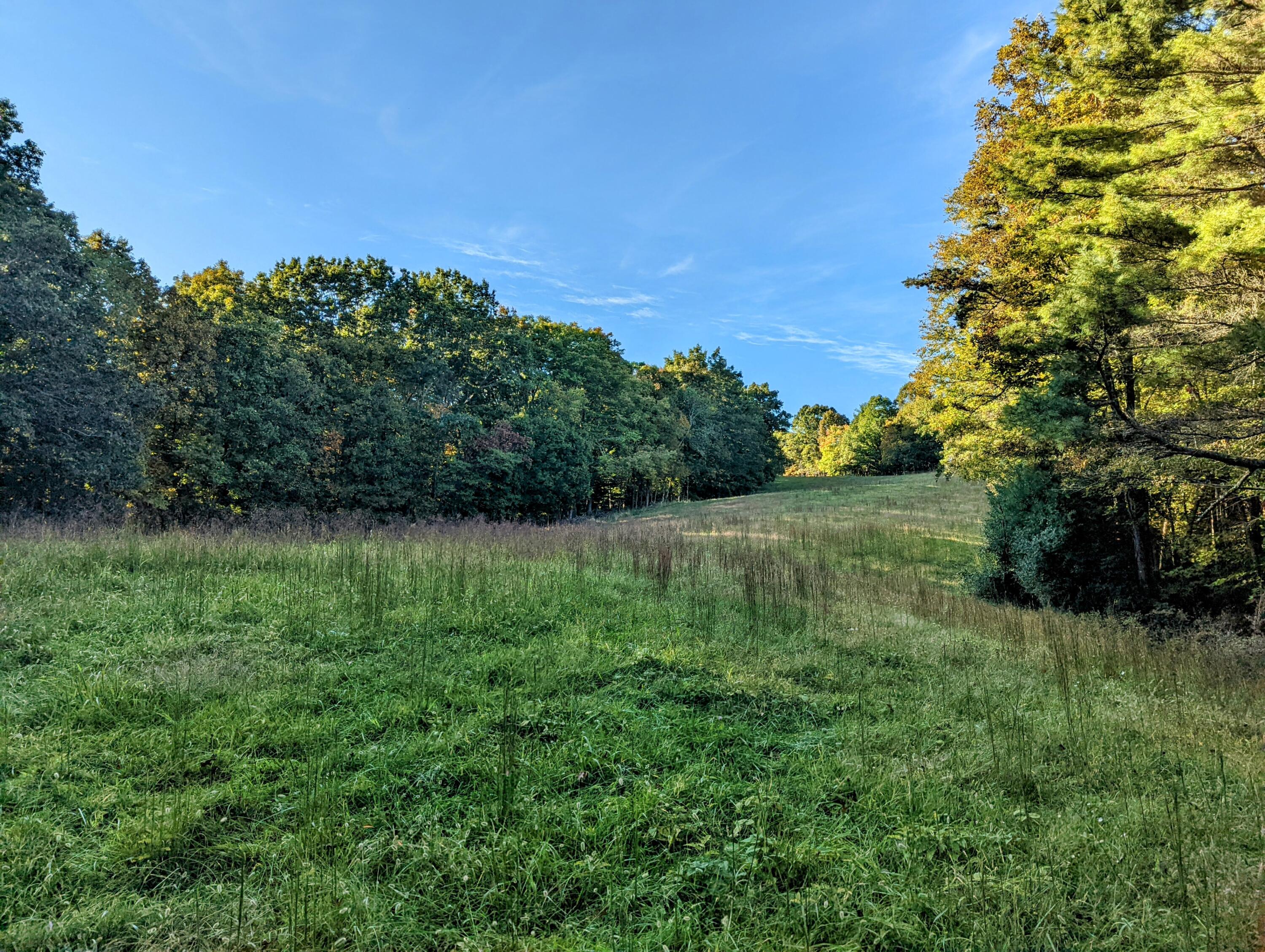 0 Laurel Creek Road Northeast Pilot, VA 24138 - Photo 20 of 53 a view of a green yard