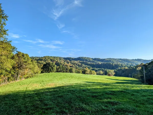 a view of a city with lush green forest