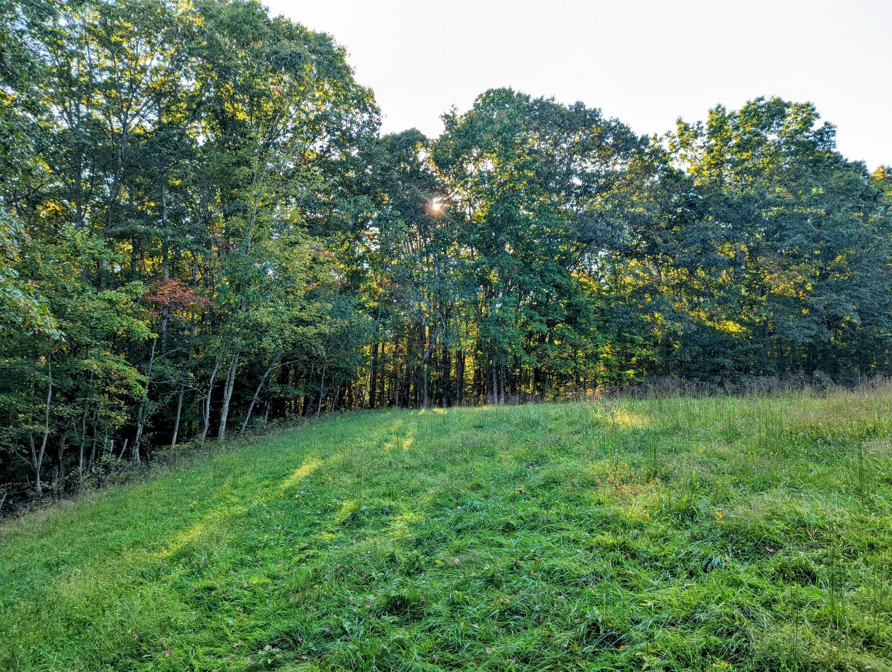 0 Laurel Creek Road Northeast Pilot, VA 24138 - Photo 21 of 53 a view of a lush green space