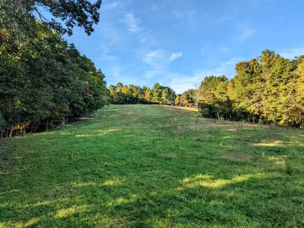 a view of field with plants and trees in the background