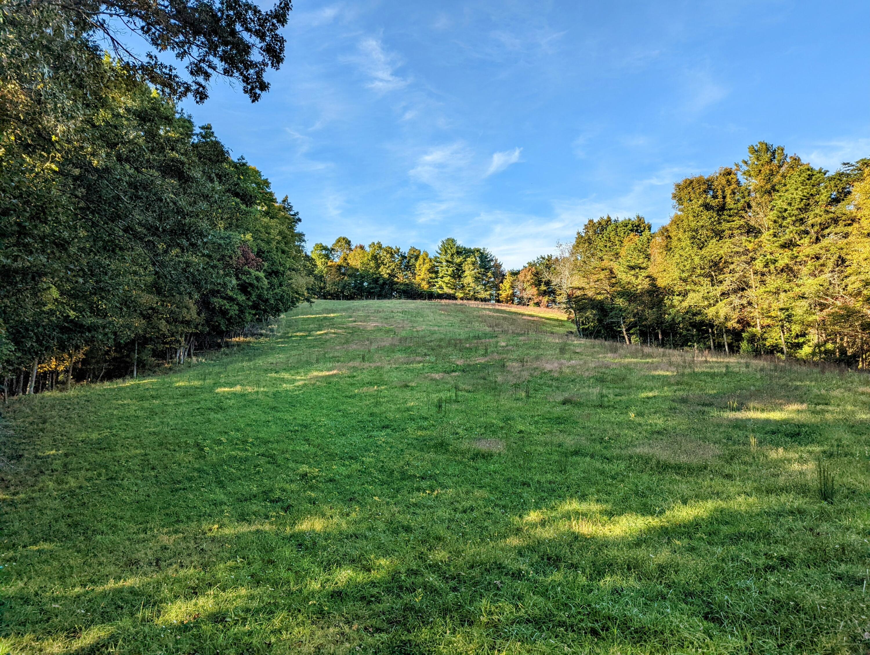 0 Laurel Creek Road Northeast Pilot, VA 24138 - Photo 22 of 53 a view of field with plants and trees in the background