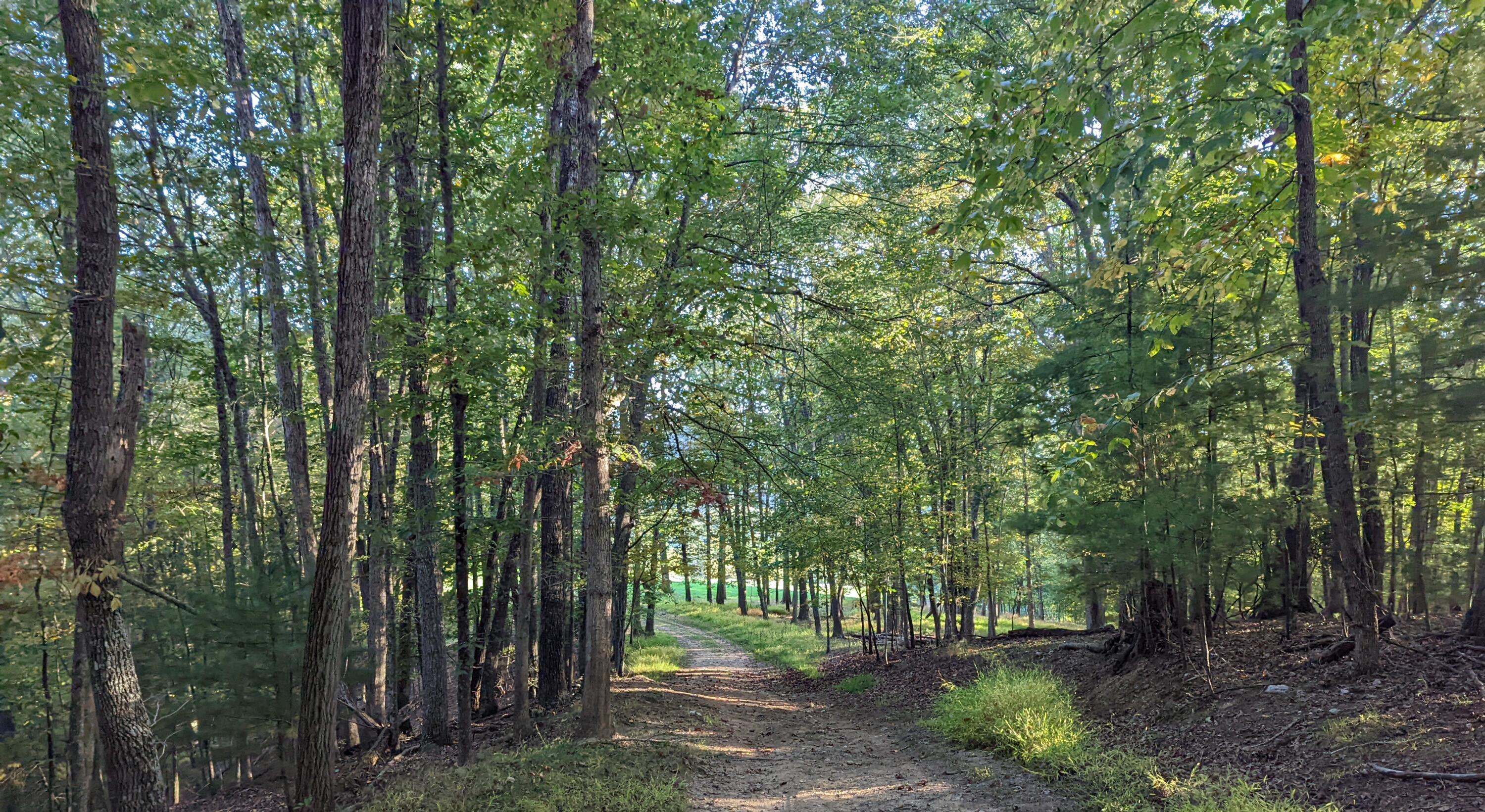 0 Laurel Creek Road Northeast Pilot, VA 24138 - Photo 27 of 53 a view of outdoor space and green space