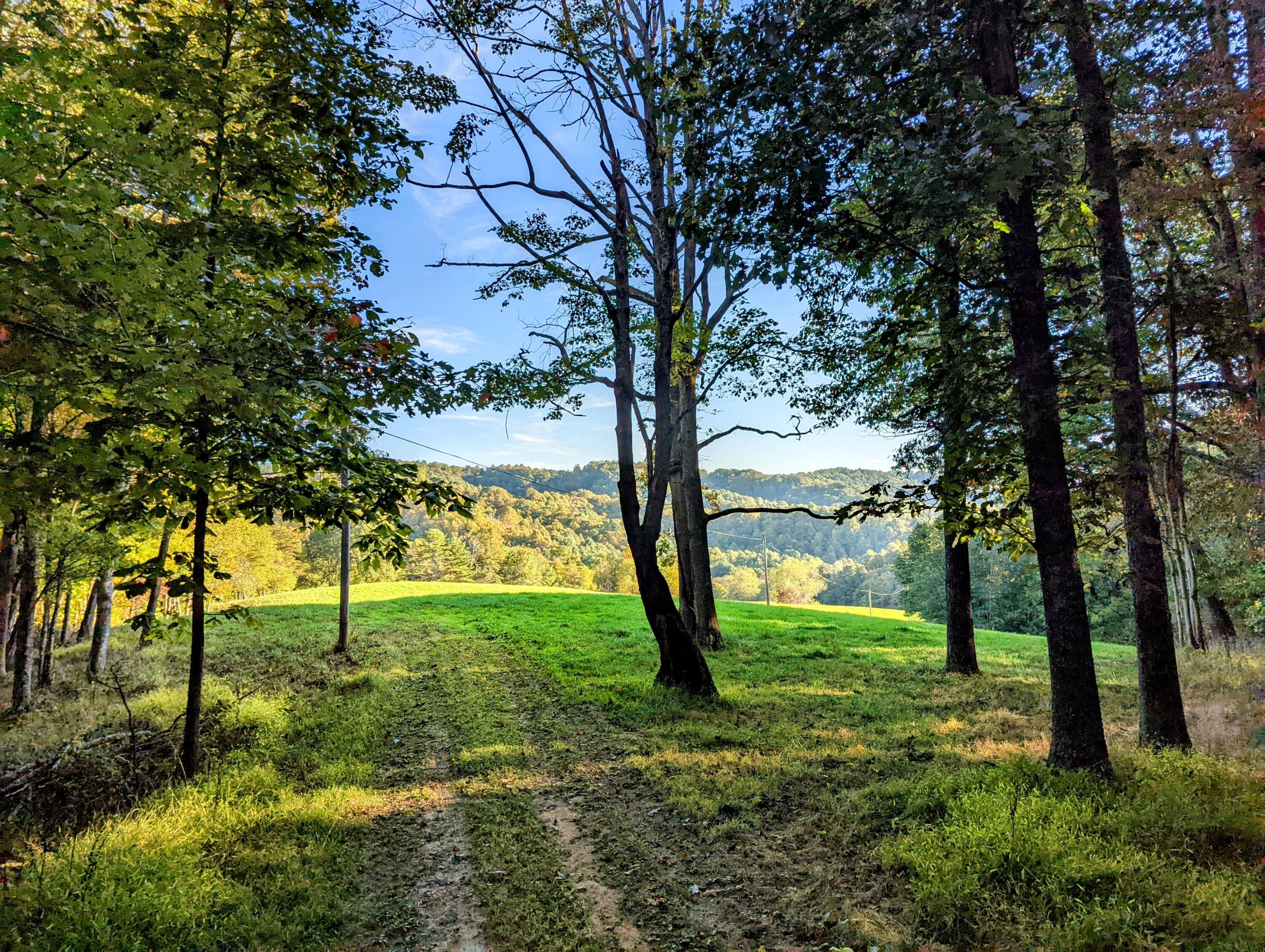 0 Laurel Creek Road Northeast Pilot, VA 24138 - Photo 28 of 53 a view of yard with large trees