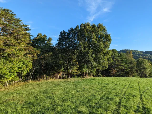 a view of outdoor space