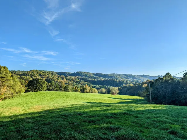 a view of a city with lush green forest