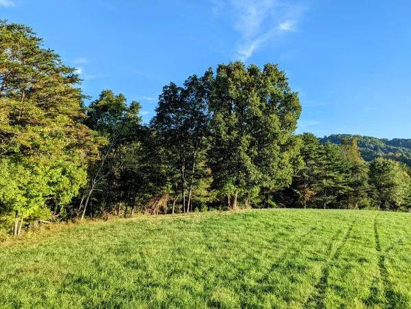 a view of outdoor space