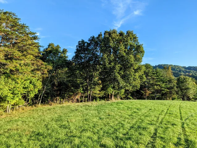 a view of outdoor space