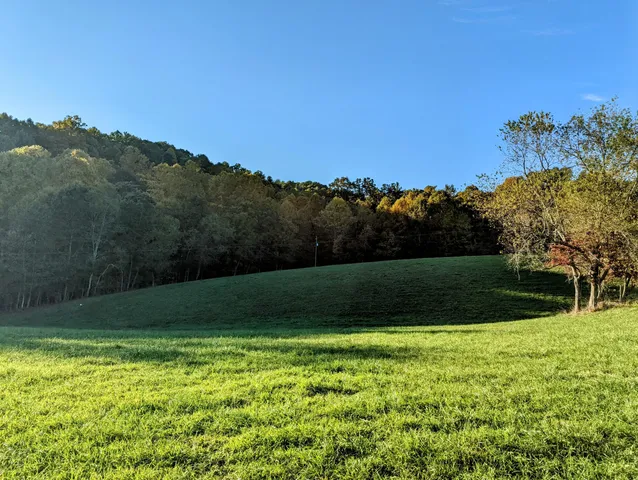 a view of a field of grass and trees