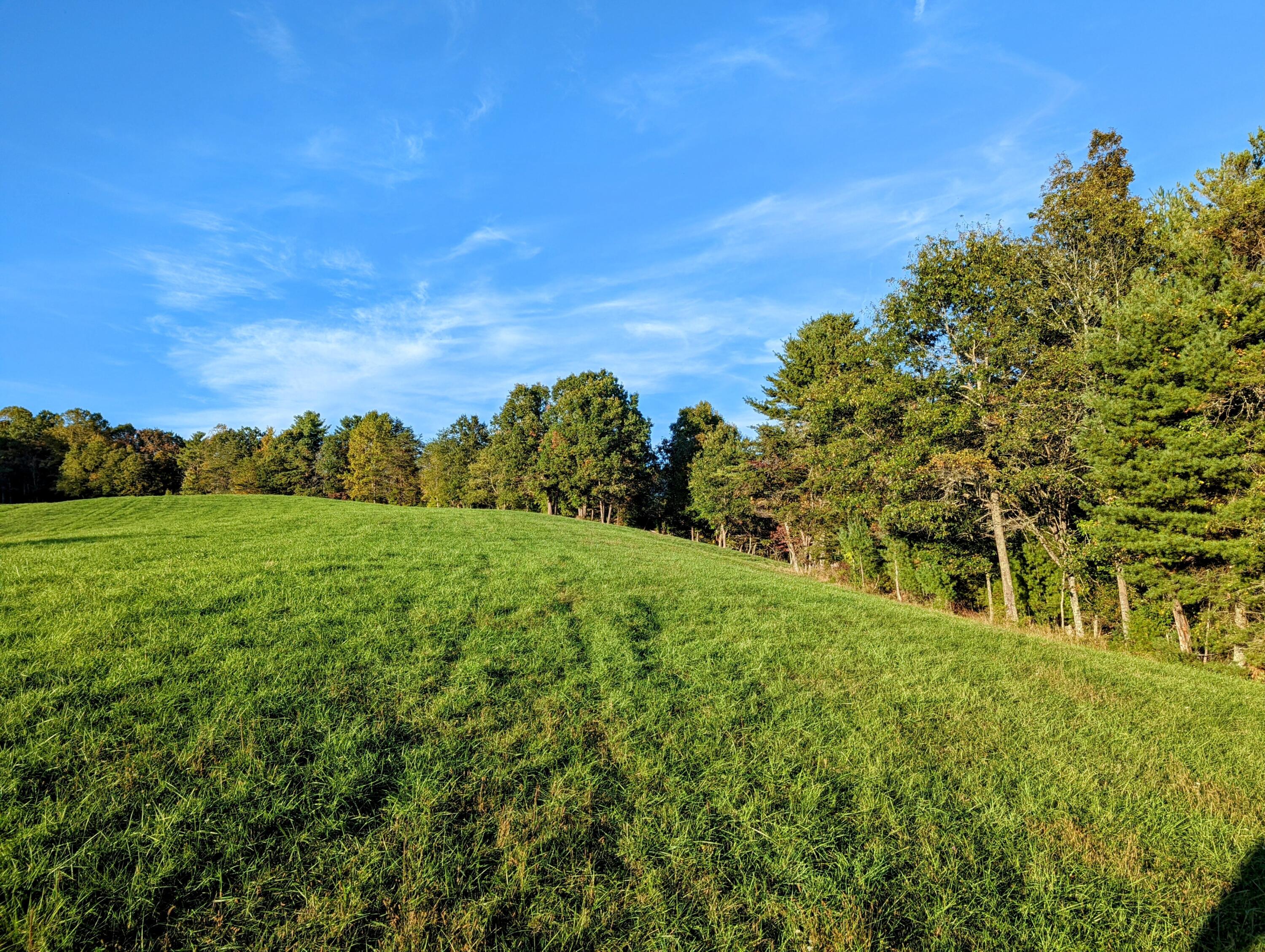 0 Laurel Creek Road Northeast Pilot, VA 24138 - Photo 36 of 53 a view of a big yard with large trees