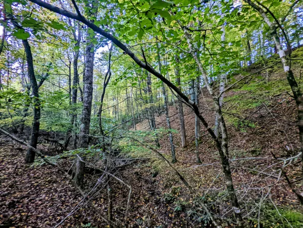 a view of outdoor space with deck and yard