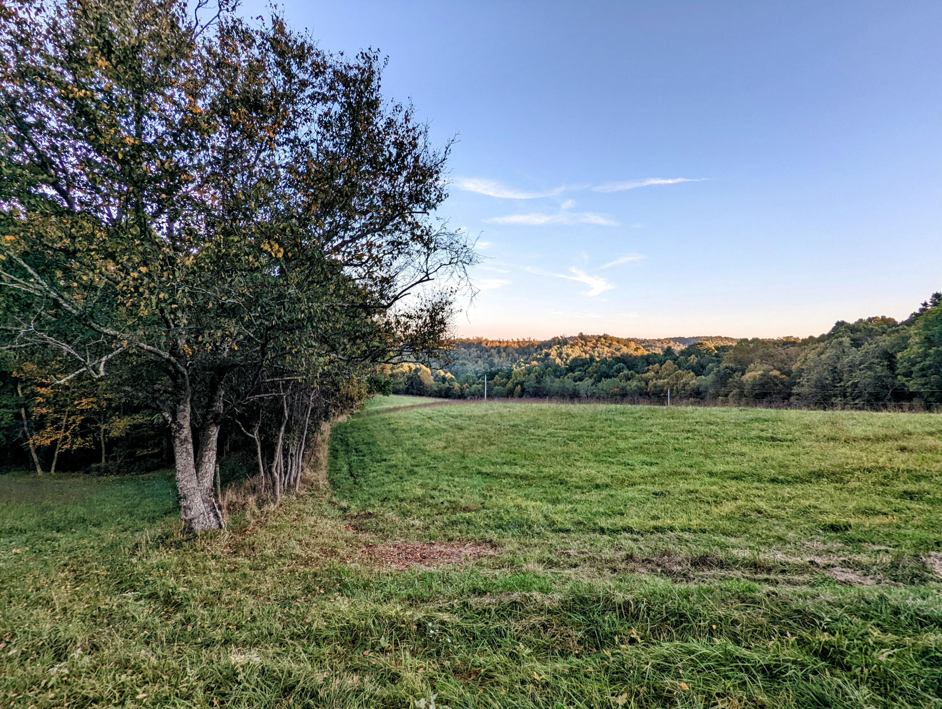 0 Laurel Creek Road Northeast Pilot, VA 24138 - Photo 39 of 53 a view of an outdoor space and a yard