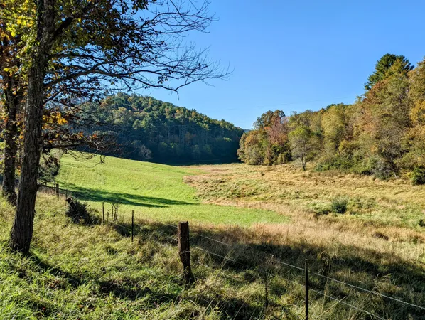 a view of swimming pool with a yard