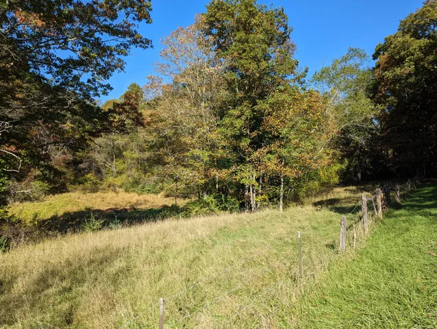 a view of a field of grass and trees