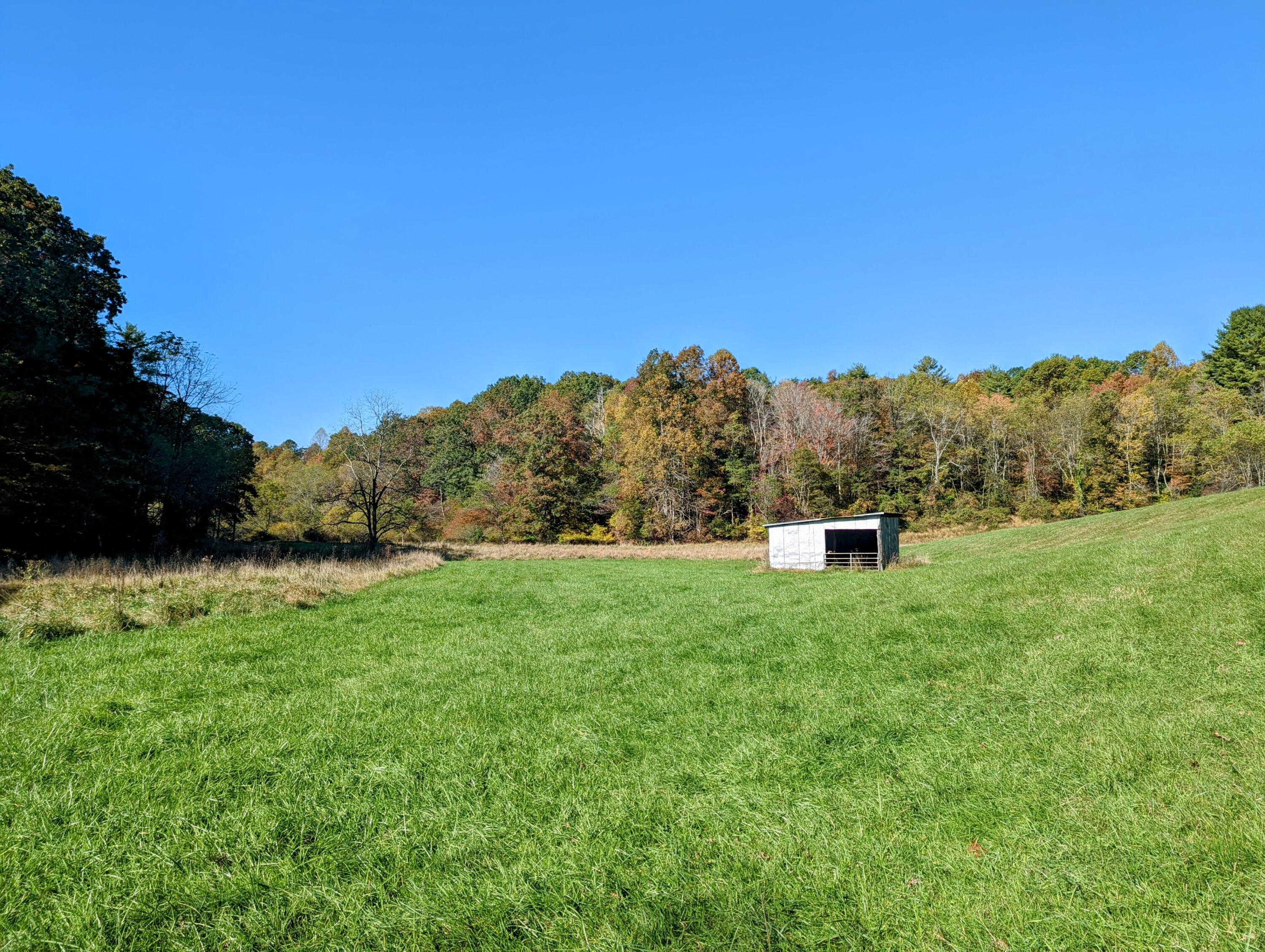 0 Laurel Creek Road Northeast Pilot, VA 24138 - Photo 43 of 53 a view of a field of grass and trees