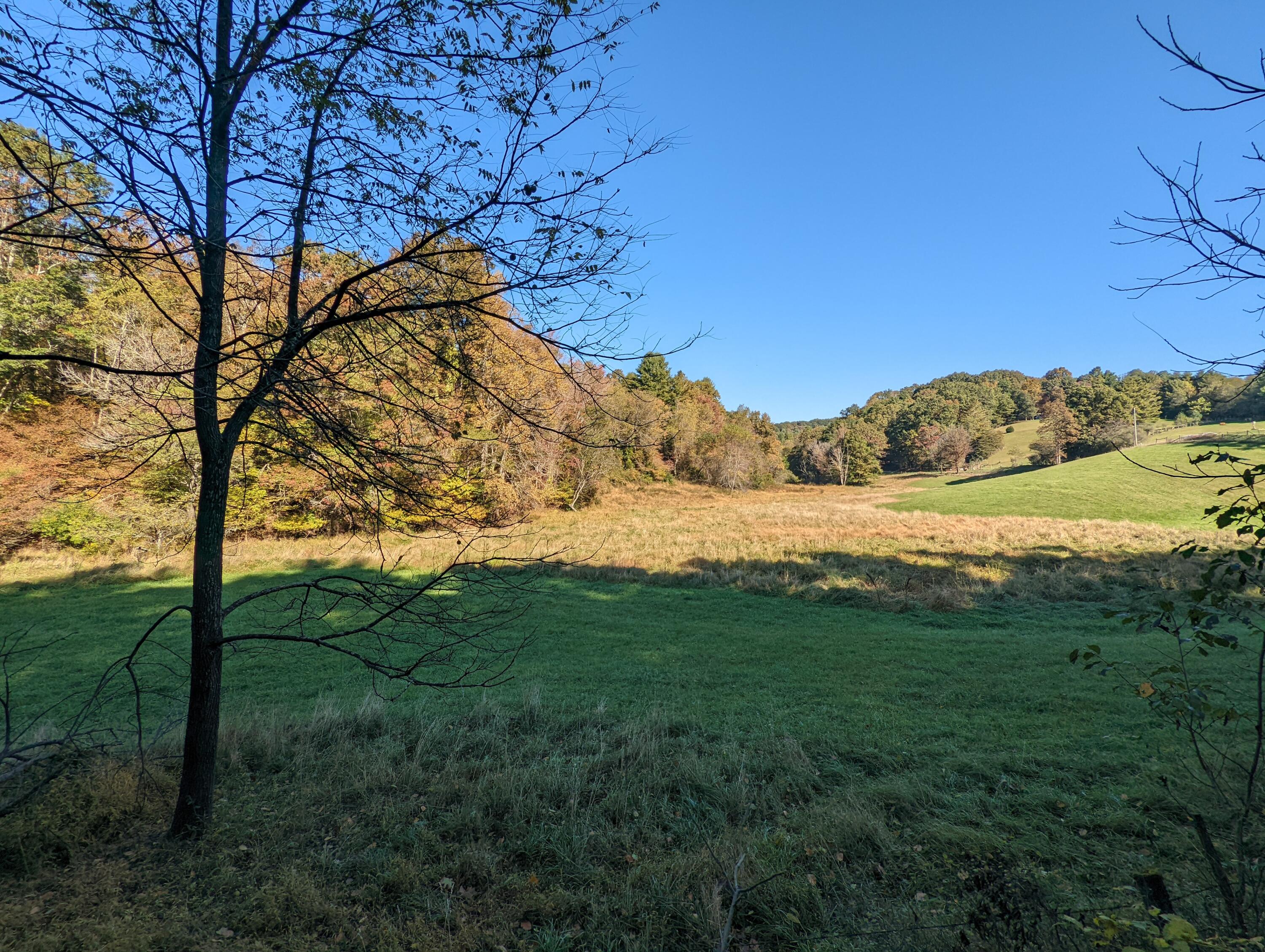 0 Laurel Creek Road Northeast Pilot, VA 24138 - Photo 47 of 53 a view of a field with an trees