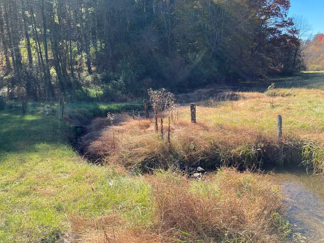 a view of backyard space
