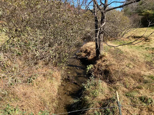 a view of outdoor space and yard