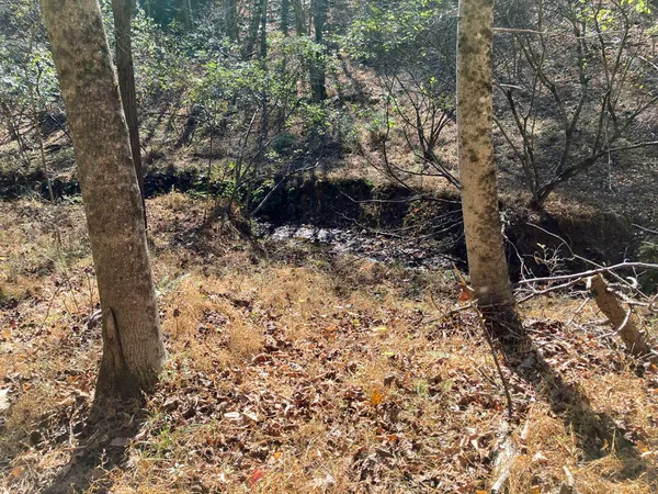 a view of outdoor space with trees