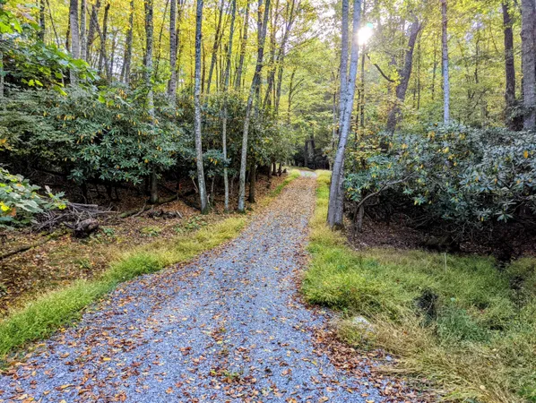 a view of backyard with green space