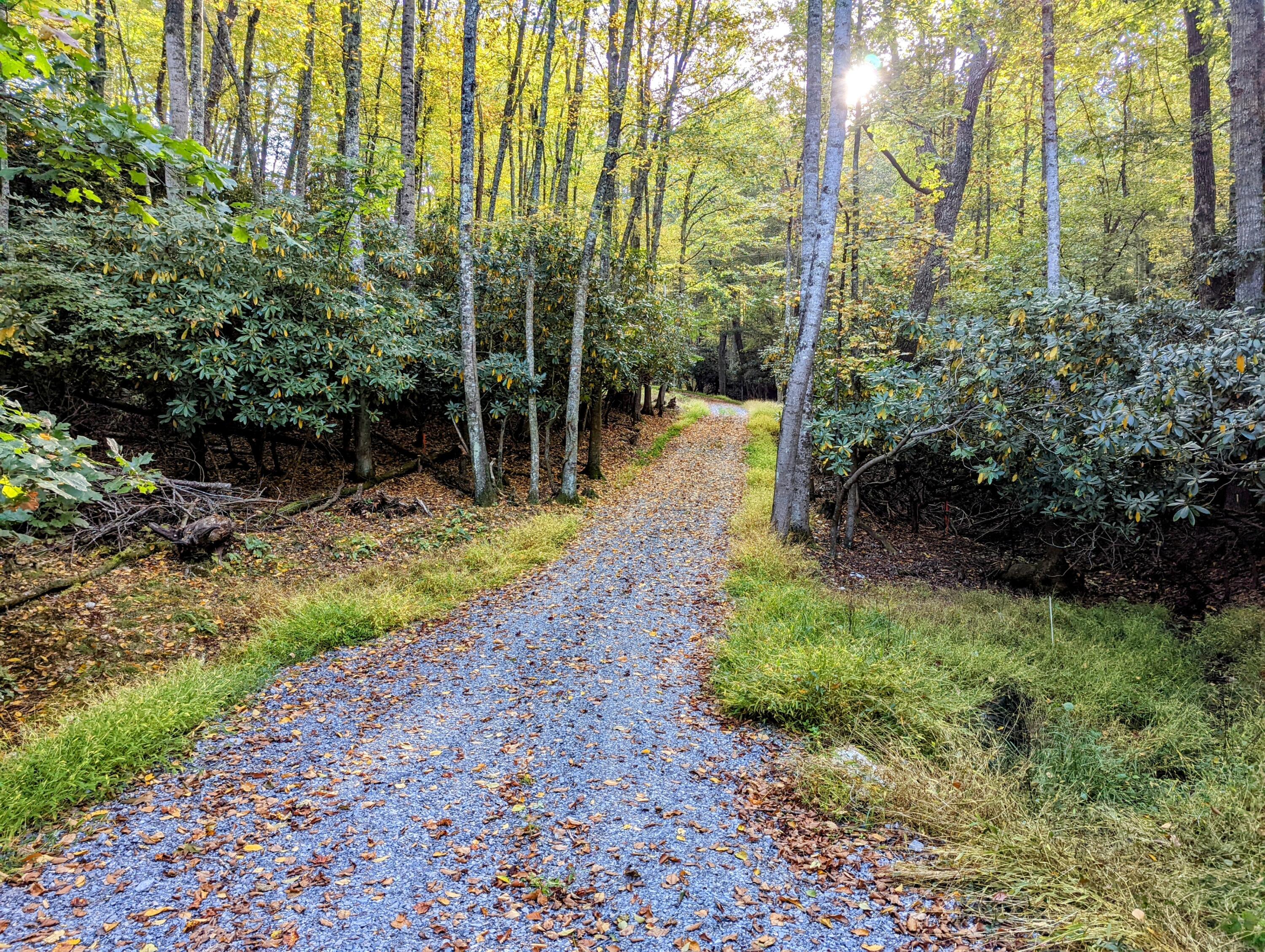0 Laurel Creek Road Northeast Pilot, VA 24138 - Photo 8 of 53 a view of backyard with green space