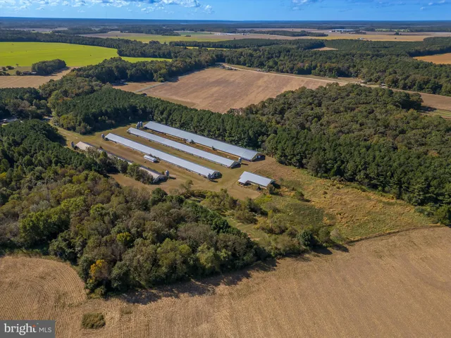 a view of a swimming pool with a yard