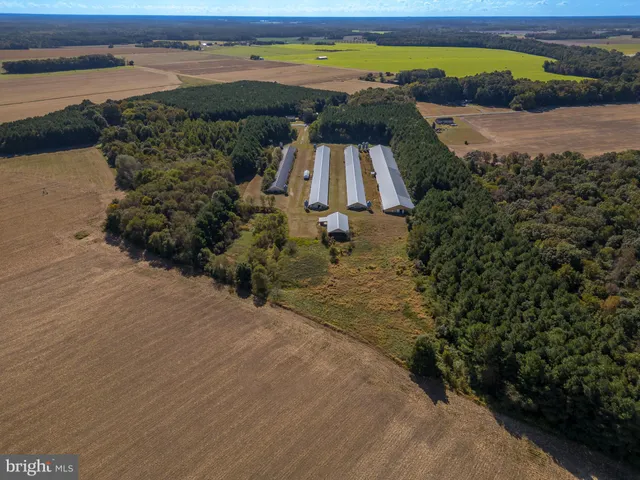 a view of beach and ocean
