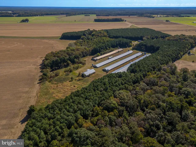 a view of outdoor space and city view