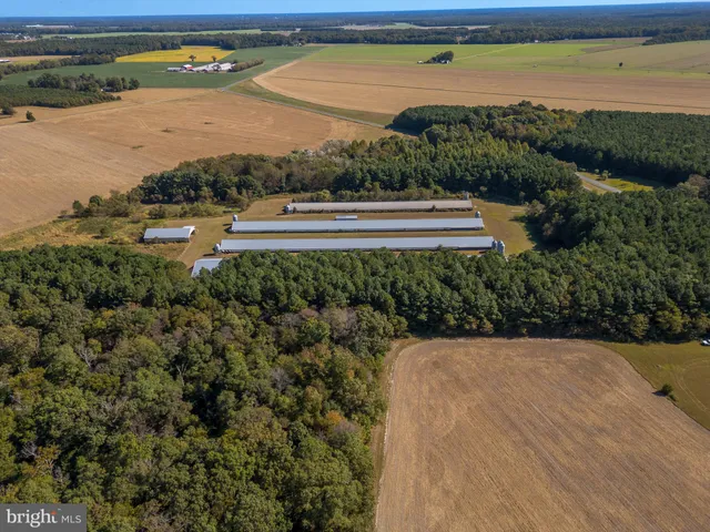 a view of a tennis court