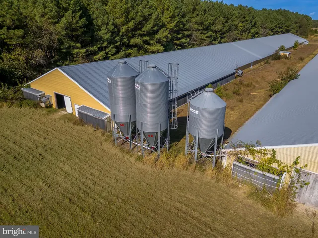 a view of a yard with plants