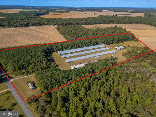 an aerial view of a houses with a yard