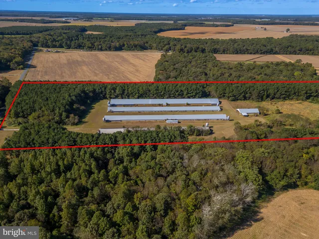 a view of a garden with an outdoor space