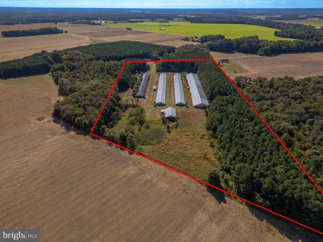 a view of an outdoor space and swimming pool