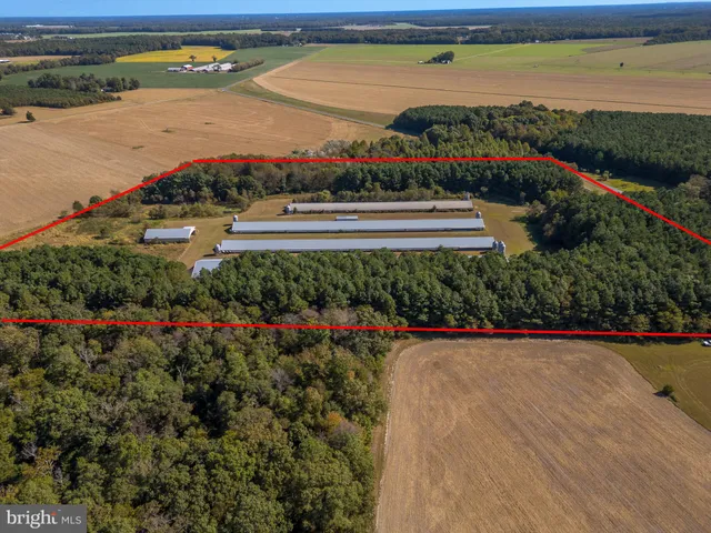 a view of outdoor space and city view