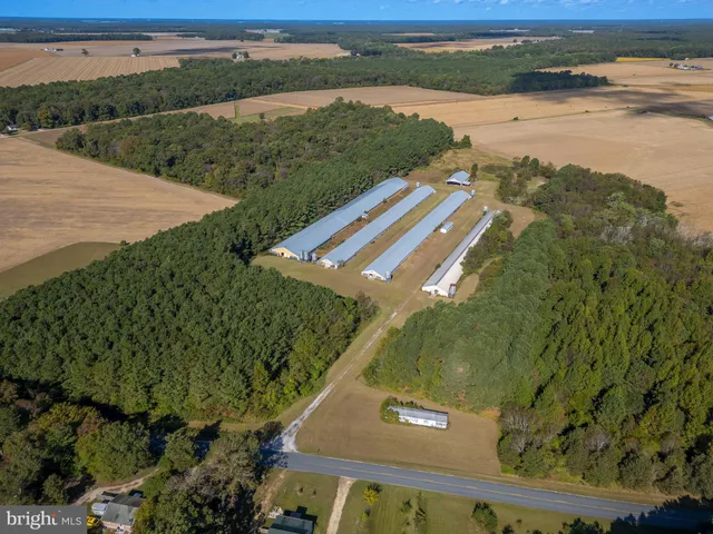a view of a lake with a mountain