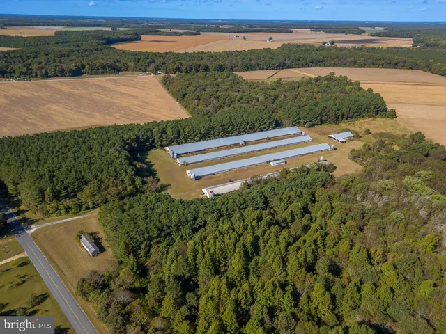 a view of lake with mountain