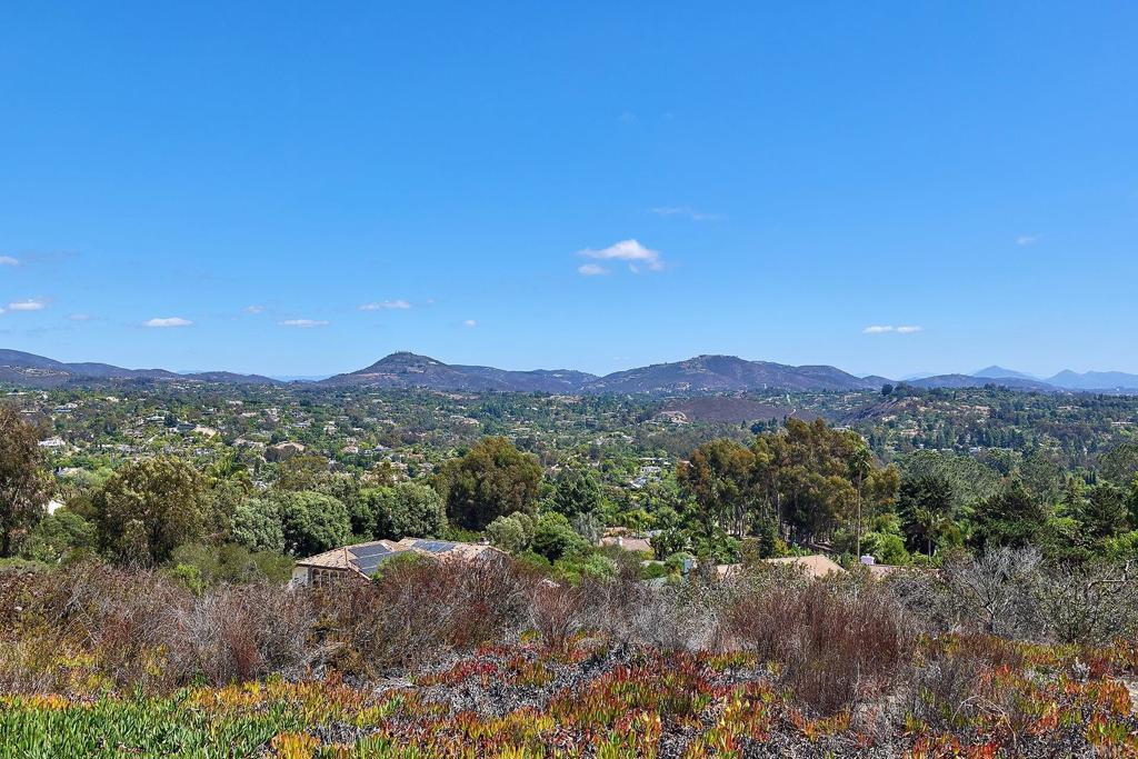 379 Trailview Road Encinitas, CA 92024 - Photo 27 of 61