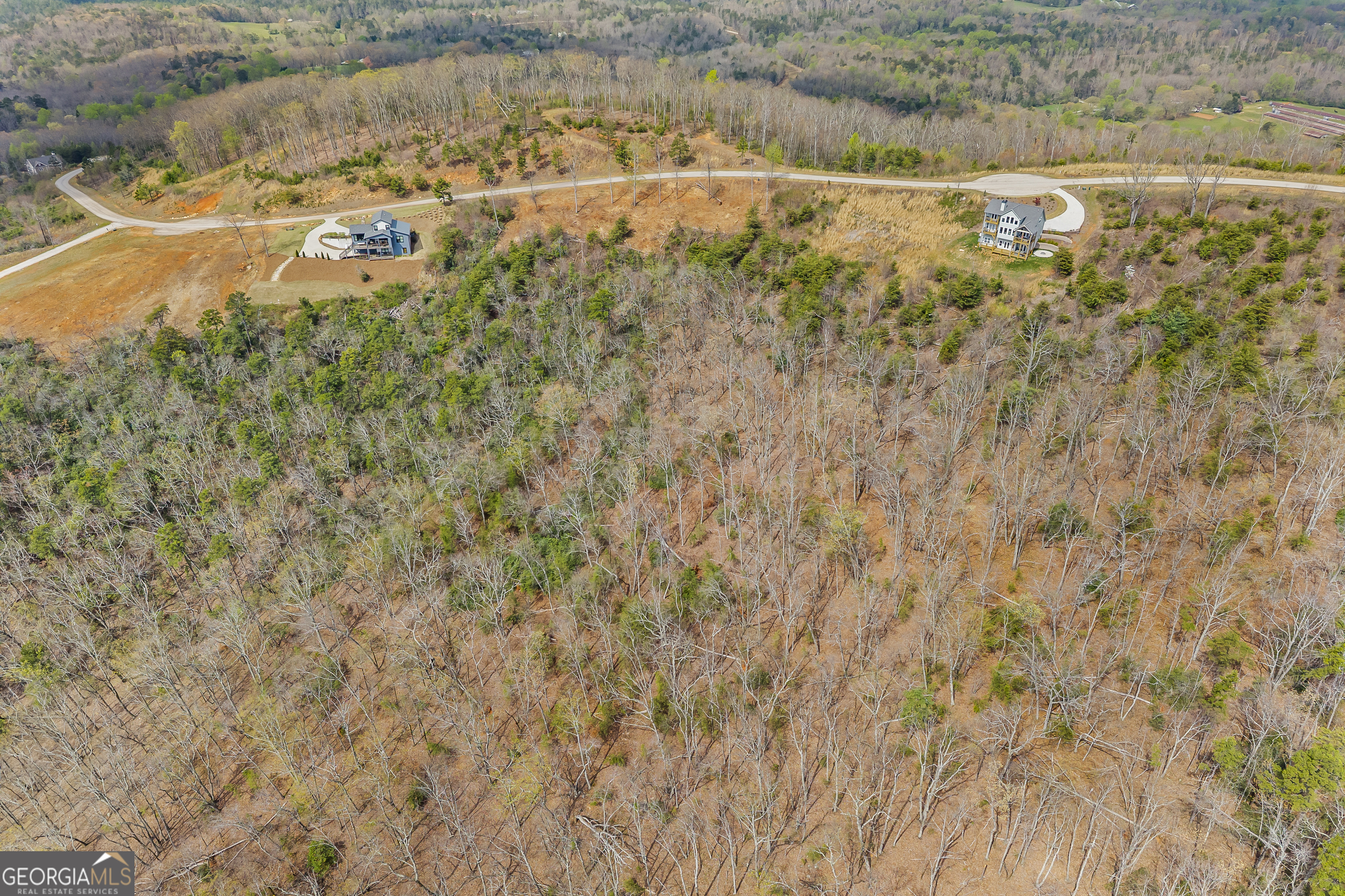 Lot 36 Mountain Ridge Drive Clarkesville, GA 30523 - Photo 39 of 53