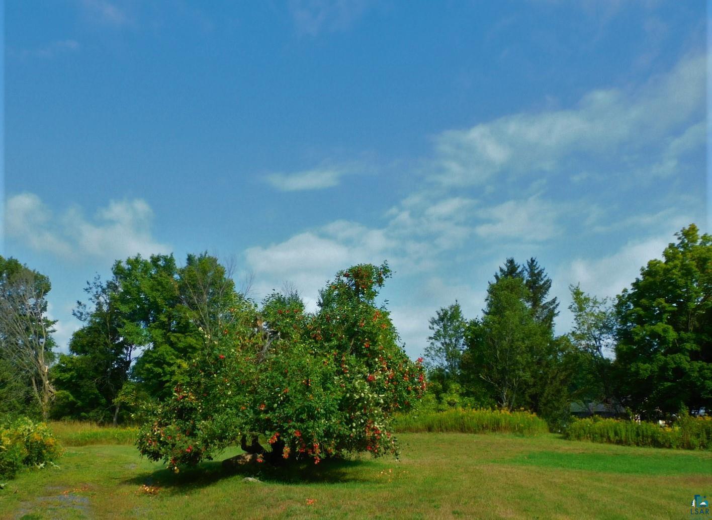 99-xx East Fire Tower Road Lake Nebagamon, WI 54849 - Photo 11 of 49 Several apple trees (loaded with apples)