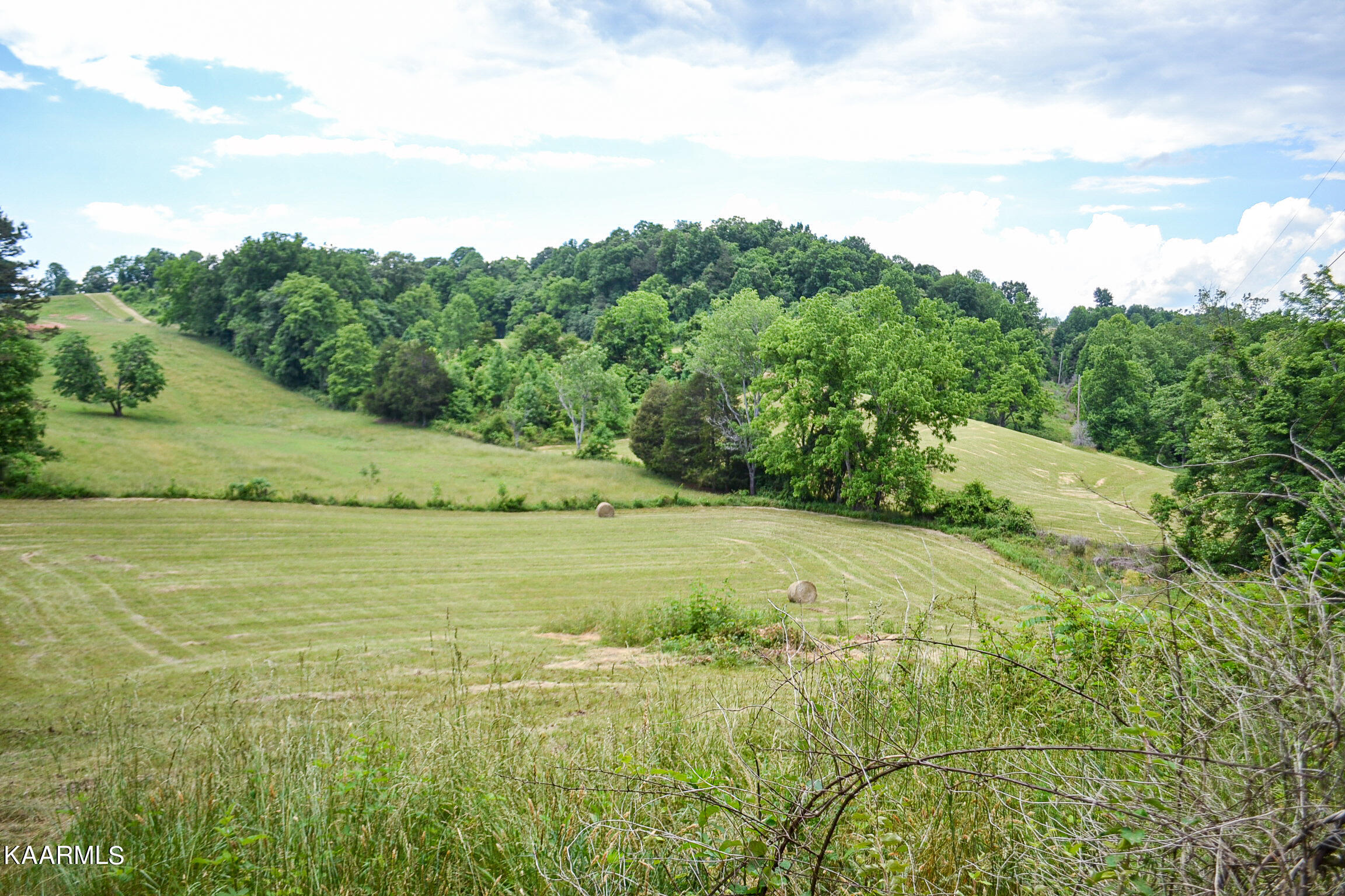 Tbd Cupp Ridge Road New Tazewell, TN 37825 - Photo 1 of 49 DSC_0800