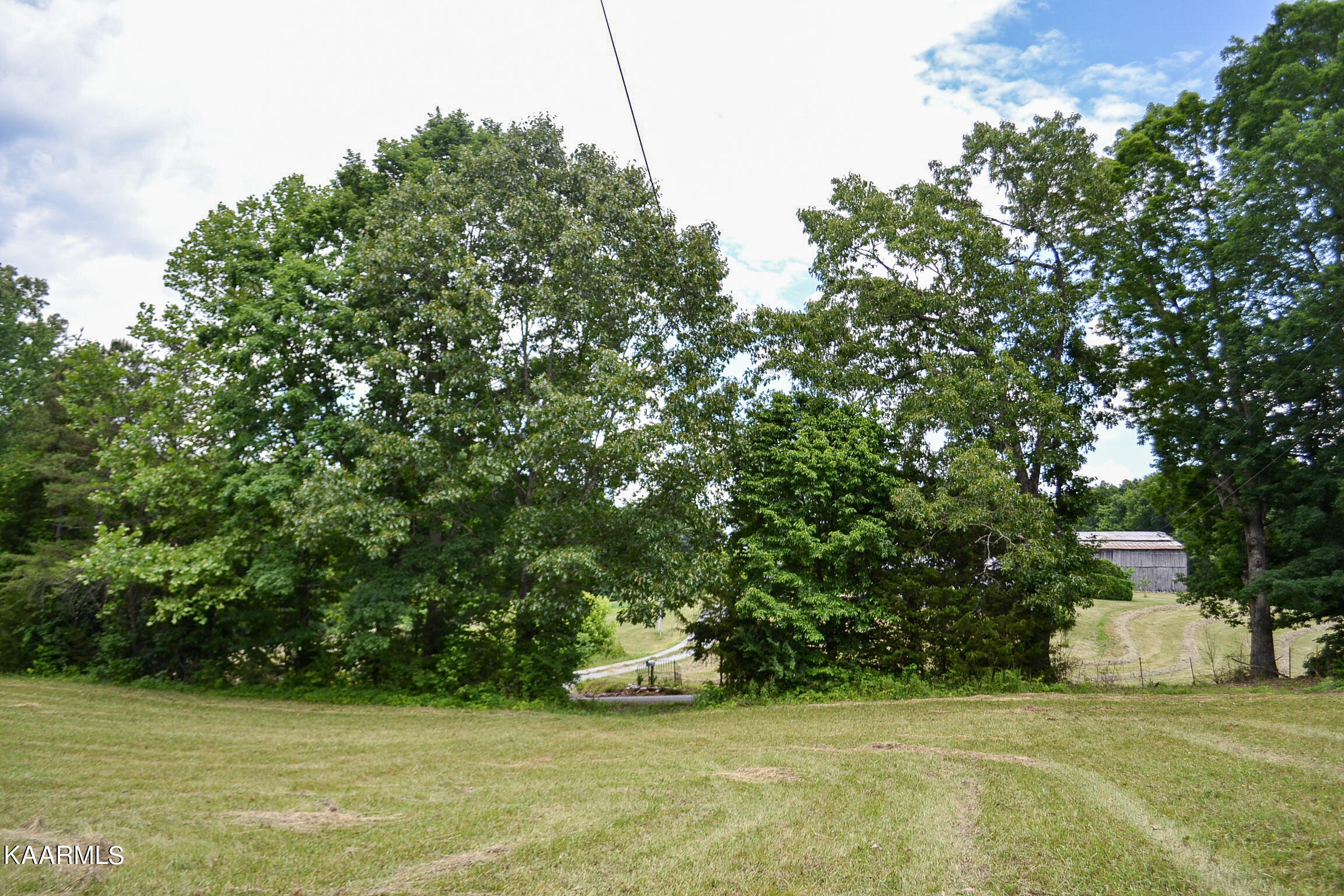 Tbd Cupp Ridge Road New Tazewell, TN 37825 - Photo 12 of 49 DSC_0776