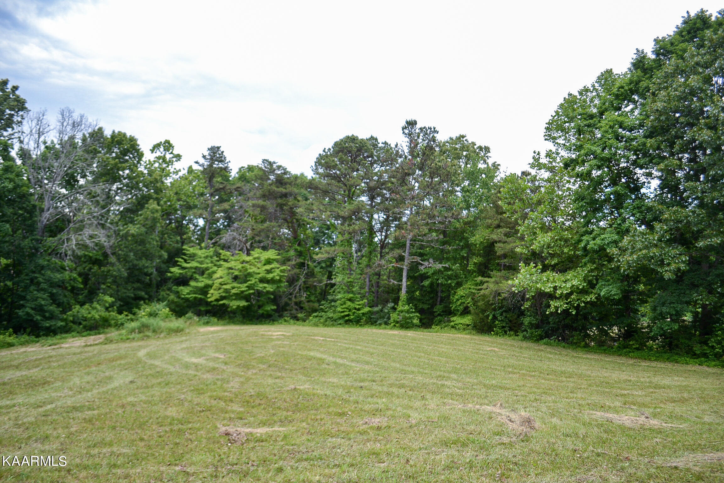 Tbd Cupp Ridge Road New Tazewell, TN 37825 - Photo 13 of 49 DSC_0777